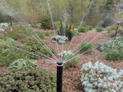MP Rotator Sprinkler